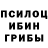 Галлюциногенные грибы GOLDEN TEACHER Tys Bohi