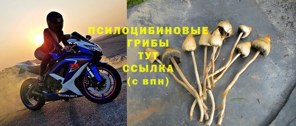 ПСИЛОЦИБИНОВЫЕ ГРИБЫ Нефтекумск