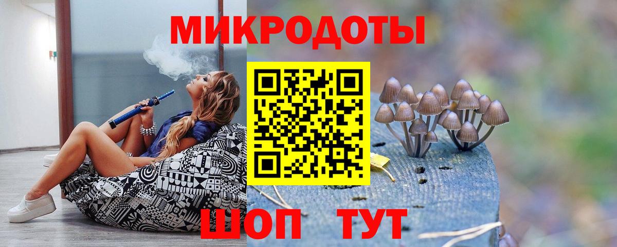 Воронеж  закладка  Галлюциногенные грибы мицелий  Вход с VPN  Псилоцибиновые грибы GOLDEN TEACHER 